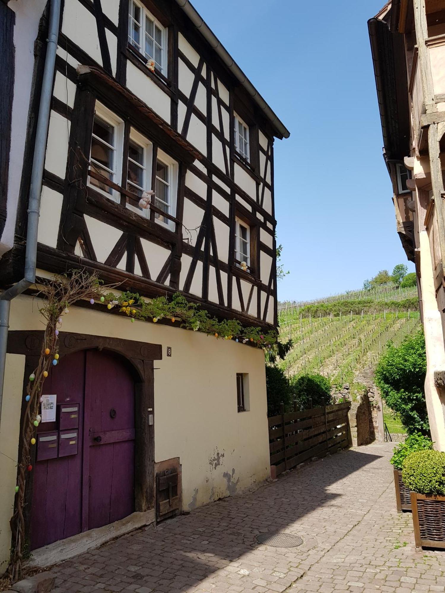 Villa La Maison Vigneronne à Riquewihr Extérieur photo